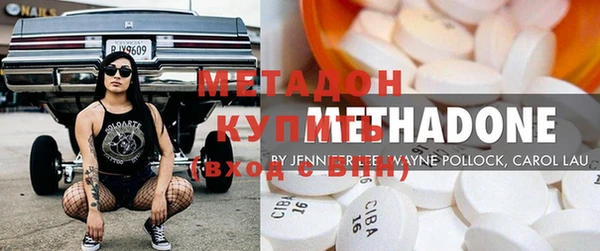 прущие грибы Верхний Тагил
