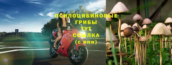 твердый Шали