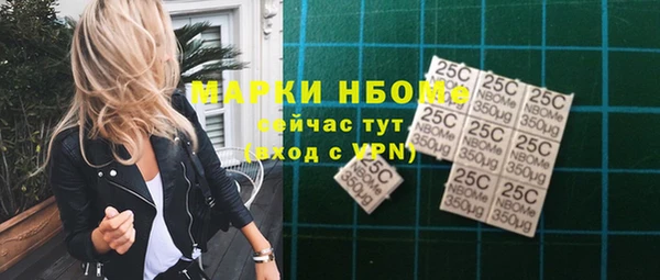 ПСИЛОЦИБИНОВЫЕ ГРИБЫ Верея