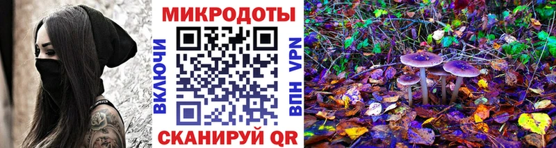 маркетплейс как зайти Камбарка Галлюциногенные грибы Magic Shrooms купить hydra ТОР